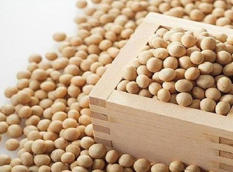 大豆蛋白粉 大豆蛋白粉